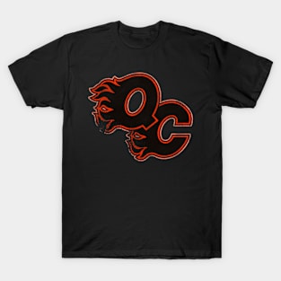 Quad City Flames Hockey Team T-Shirt